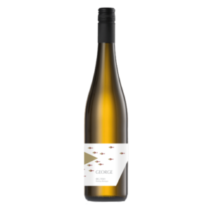 RIESLING BIG FISH RÜDESHEIMER BISCHOFSBERG RHEINGAU DQ